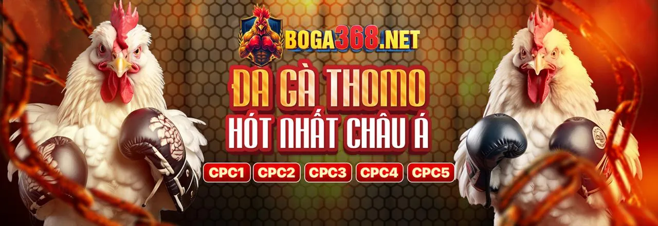 Đá Gà Trực Tuyến f186